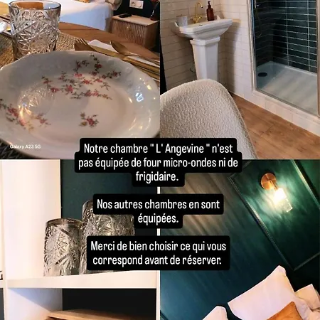 D'hôtes Chez Lyly Et Juju Piscine&sauna Parking Gratuit Casa de hóspedes Angers